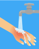 ミツバチに刺されたときは